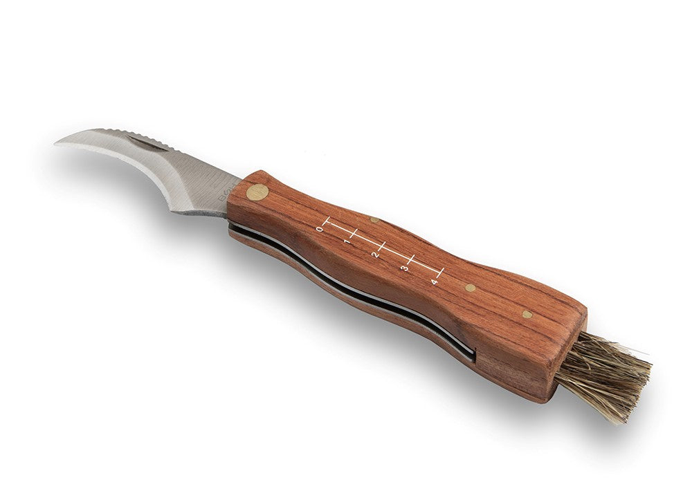 Peilis grybautojams - BSH