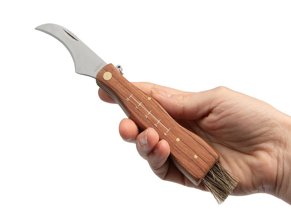 Peilis grybautojams - BSH